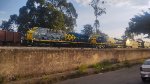 MRSL 7536